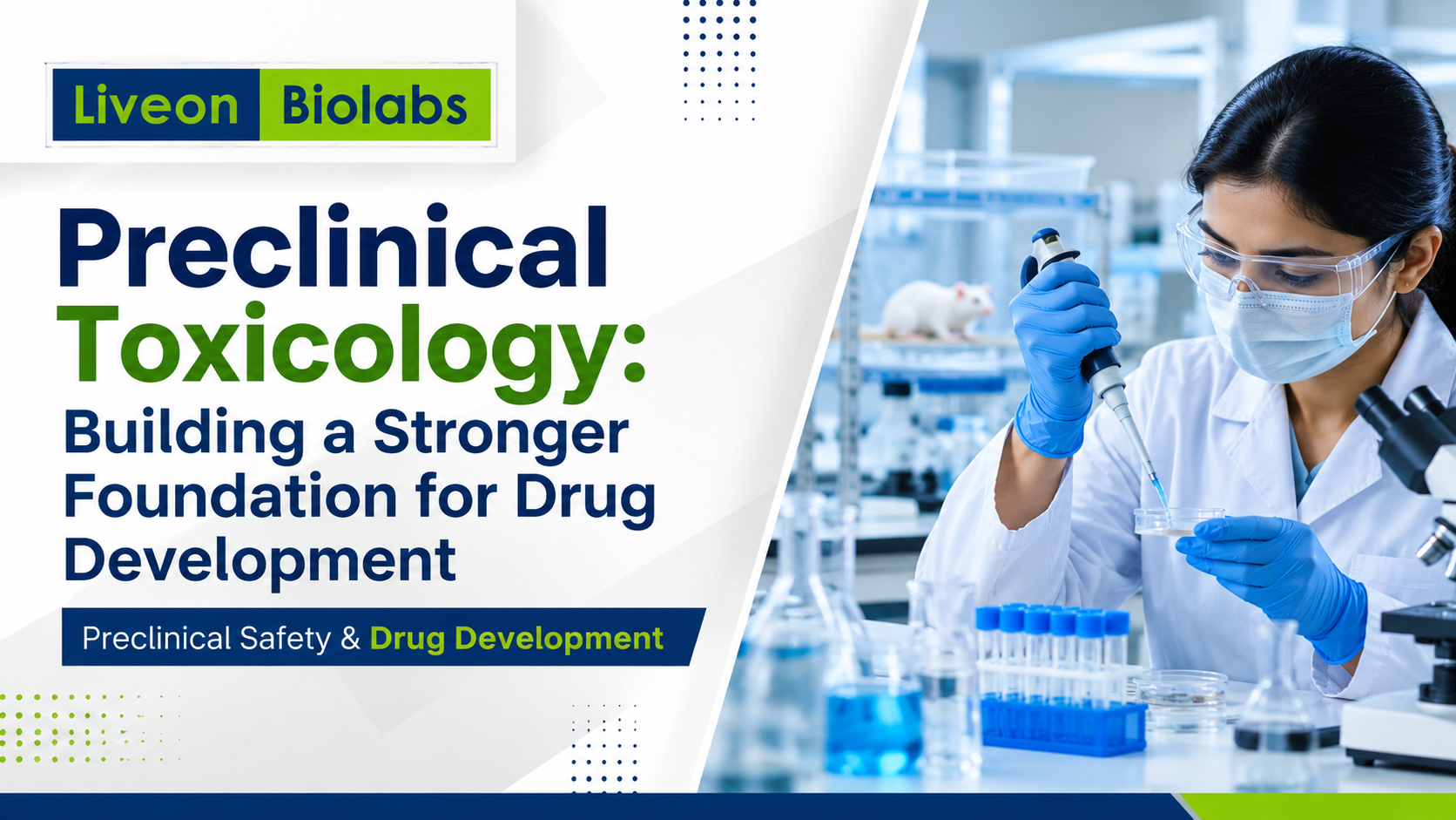 Preclinical Toxicology: Building a Strong Foundation for Drug Development